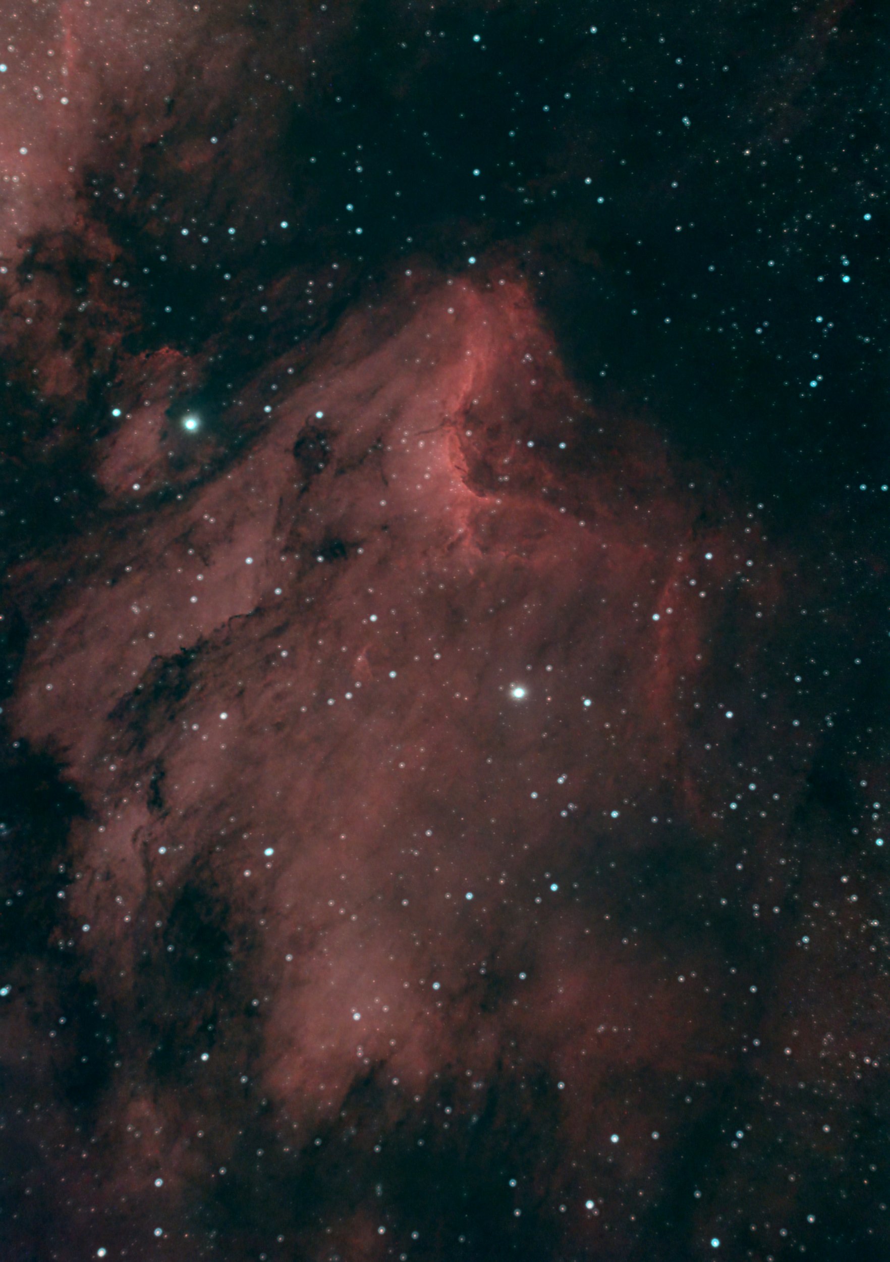 IC5070, the Pelican Nebula